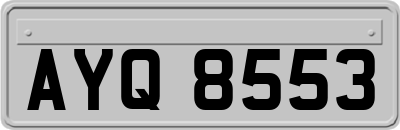 AYQ8553