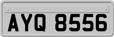 AYQ8556