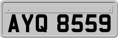AYQ8559