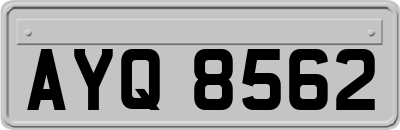 AYQ8562