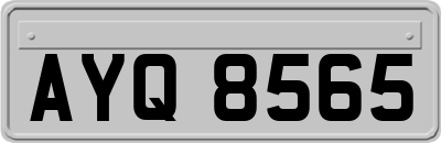 AYQ8565
