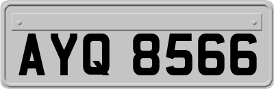 AYQ8566