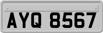 AYQ8567