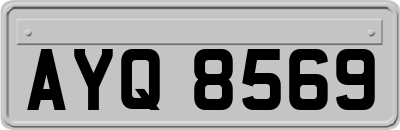 AYQ8569