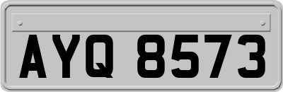 AYQ8573