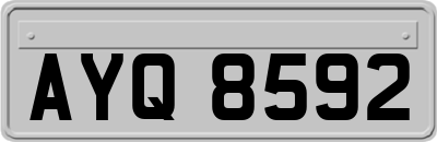 AYQ8592