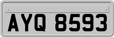 AYQ8593