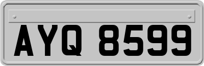 AYQ8599