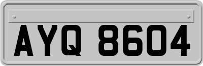 AYQ8604