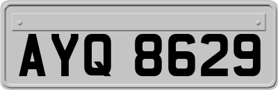 AYQ8629