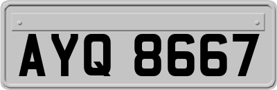 AYQ8667