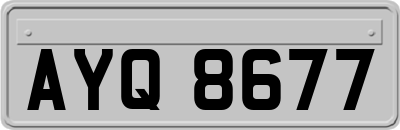 AYQ8677