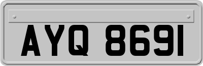 AYQ8691