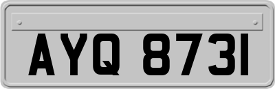 AYQ8731
