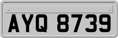 AYQ8739