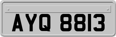 AYQ8813