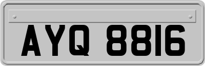 AYQ8816