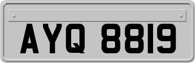 AYQ8819