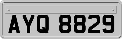 AYQ8829