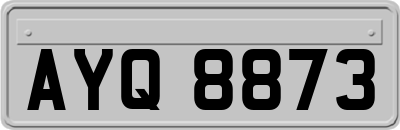 AYQ8873