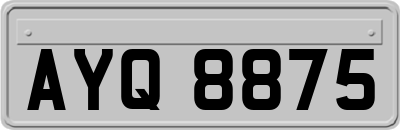 AYQ8875