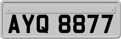AYQ8877
