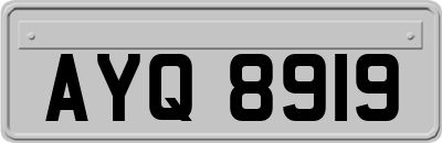 AYQ8919