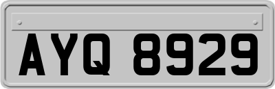 AYQ8929