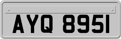 AYQ8951
