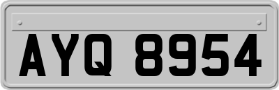 AYQ8954