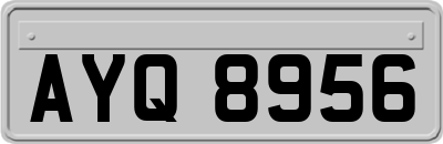 AYQ8956