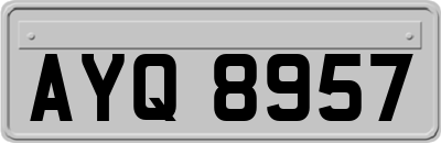 AYQ8957