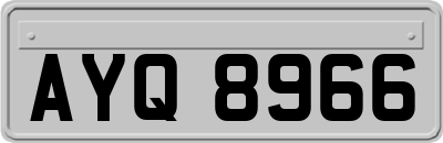 AYQ8966