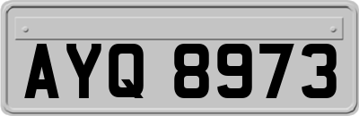 AYQ8973