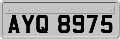 AYQ8975