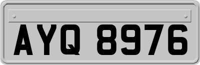 AYQ8976