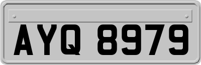 AYQ8979