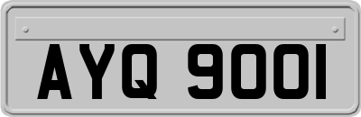 AYQ9001