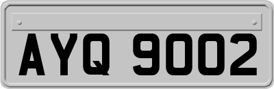AYQ9002