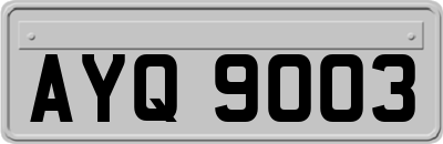 AYQ9003
