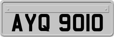 AYQ9010