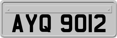 AYQ9012