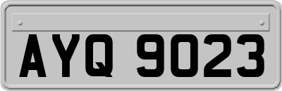 AYQ9023