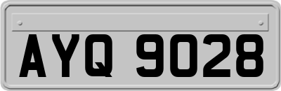AYQ9028