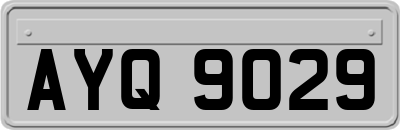 AYQ9029