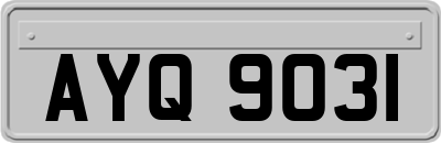 AYQ9031