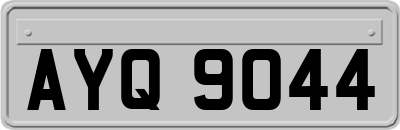 AYQ9044