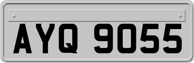 AYQ9055