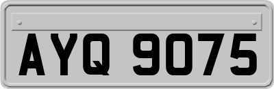AYQ9075