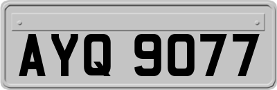 AYQ9077